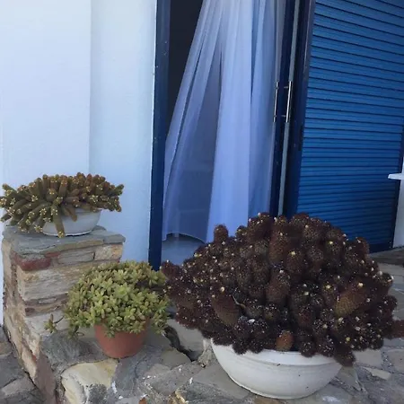 Iliopoulos *