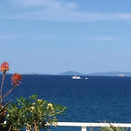 Apartment Iliopoulos Mourteri