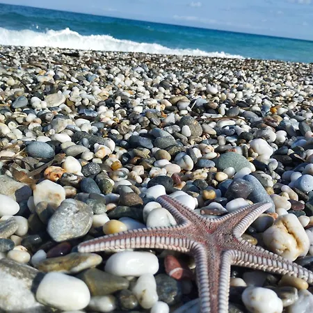 Iliopoulos * Mourteri