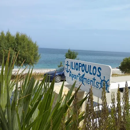 Iliopoulos *