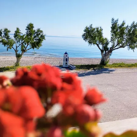 Iliopoulos *